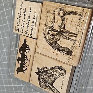 Bareback 🐎 Horse rubber stamp set